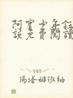 阿宾少年钰慧小说免费阅读笔趣阁