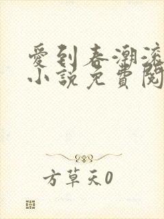 爱到春潮滚滚来小说免费阅读