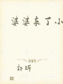 婆婆来了小说封面