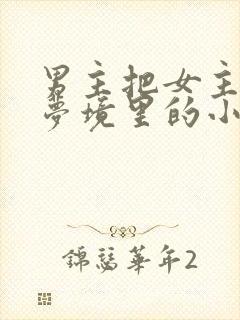 男主把女主拖进梦境里的小说