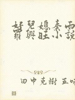 好儿媳秦雨罗明罗兴旺小说