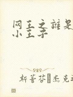 网王之谁是我的小王子