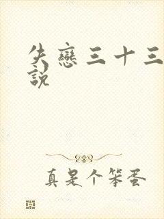 失恋三十三天小说