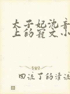 太子妃沈音和皇上的宠文小说封面