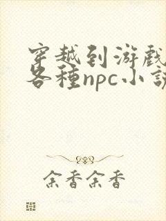 穿越到游戏里和各种npc小说