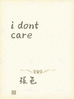 i dont care封面