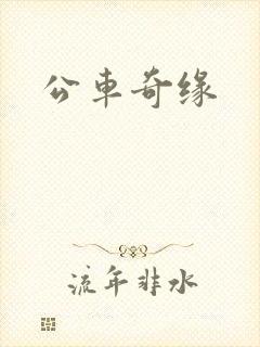 公车奇缘