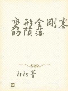 变形金刚塞伯坦的陨落