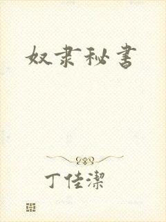 奴隶秘书封面