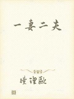 一妻二夫