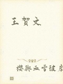 王贺文封面