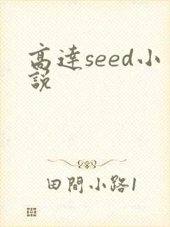 高达seed小说