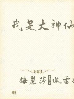我是大神仙小说