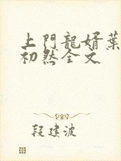 上门龙婿叶辰萧初然全文封面