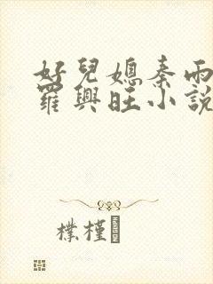 好儿媳秦雨罗明罗兴旺小说