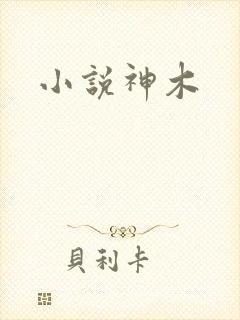 小说神木