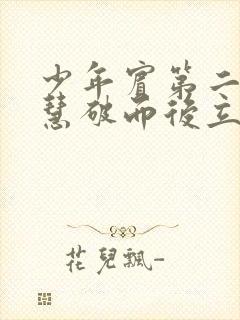 少年宾第二部珏慧破而后立