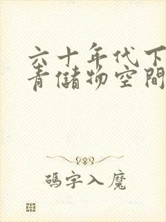 六十年代下乡知青储物空间封面