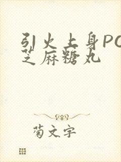 引火上身POP芝麻糖丸