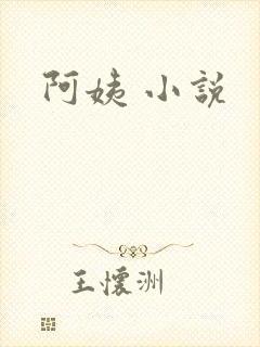 阿姨 小说