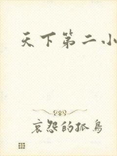 天下第二小说