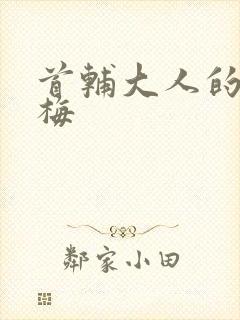 首辅大人的小青梅封面