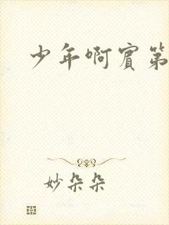 少年啊宾第二部