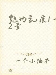 艳肉乱痕1一12章封面