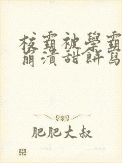 校霸被学霸玩到崩溃甜饼写手封面