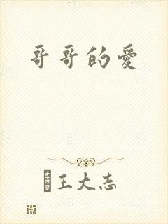 哥哥的爱封面
