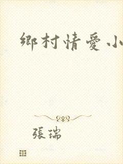 乡村情爱小说封面