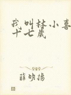 我叫林小喜今年十七岁封面