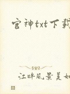 官神txt下载