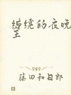 缠绕的夜晚双男主