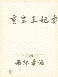 重生王妃要和离