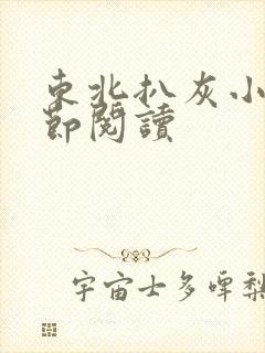 东北扒灰小说分节阅读