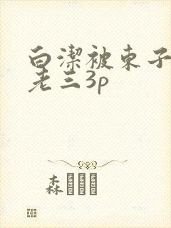 白洁被东子老二老三3p封面