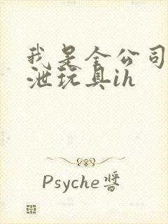 我是全公司的发泄玩具ih