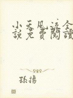 小天风流全集小说免费阅读