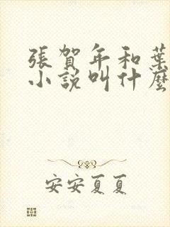 张贺年和叶繁姿小说叫什么名字封面