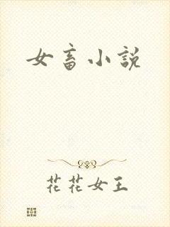 女畜小说封面
