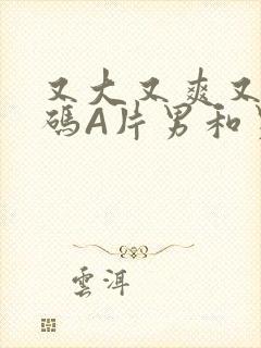 又大又爽又黄无码A片男和男