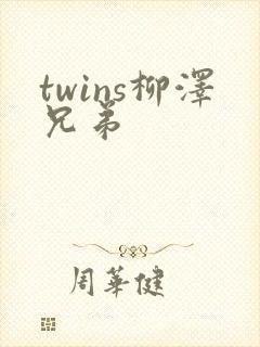 twins柳泽兄弟