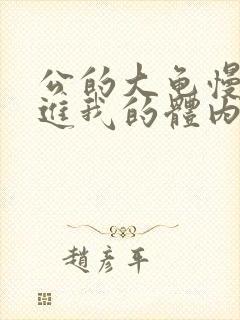 公的大龟慢慢挺进我的体内