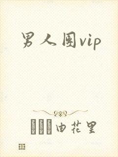 男人团vip