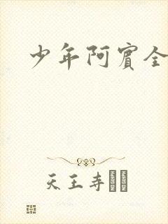 少年阿宾全集