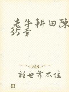 老牛耕田陈雪435章