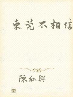 东莞不相信眼泪