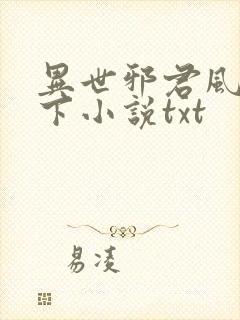 异世邪君风凌天下小说txt
