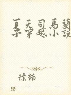 夏天司马兰九皇子穿越小说笔趣阁